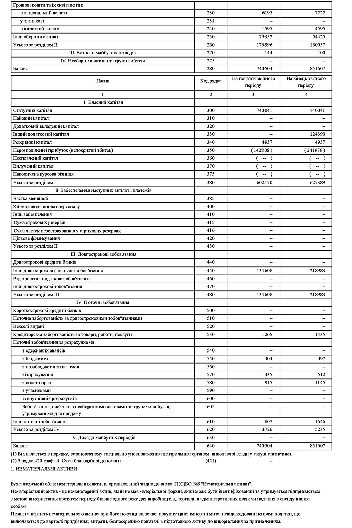 Річна фінансова звітність