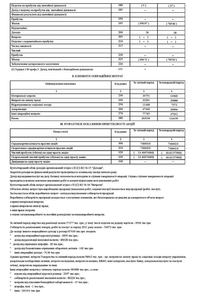 Річна фінансова звітність