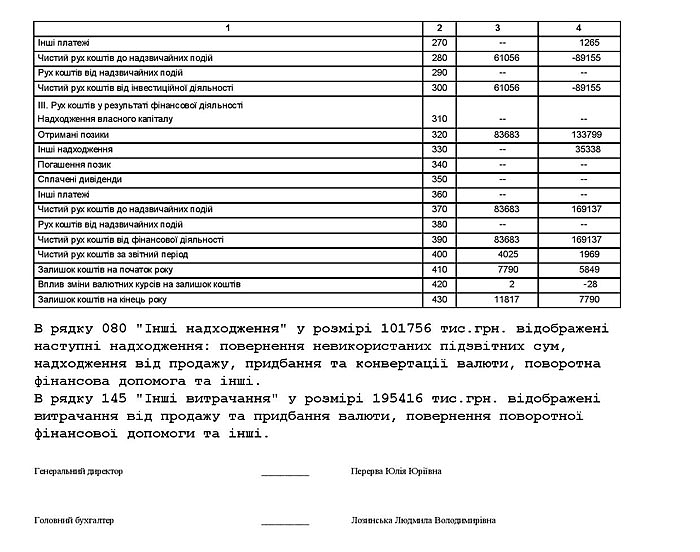 Річна фінансова звітність