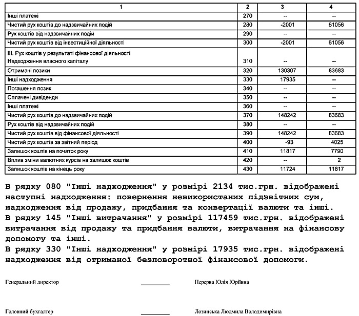 Річна фінансова звітність