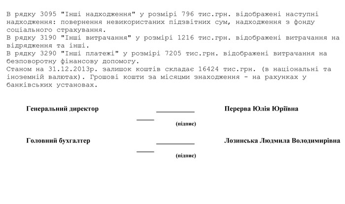 Річна фінансова звітність