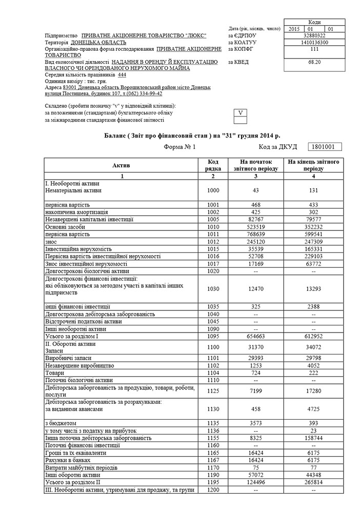 Річна фінансова звітність
