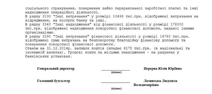 Річна фінансова звітність