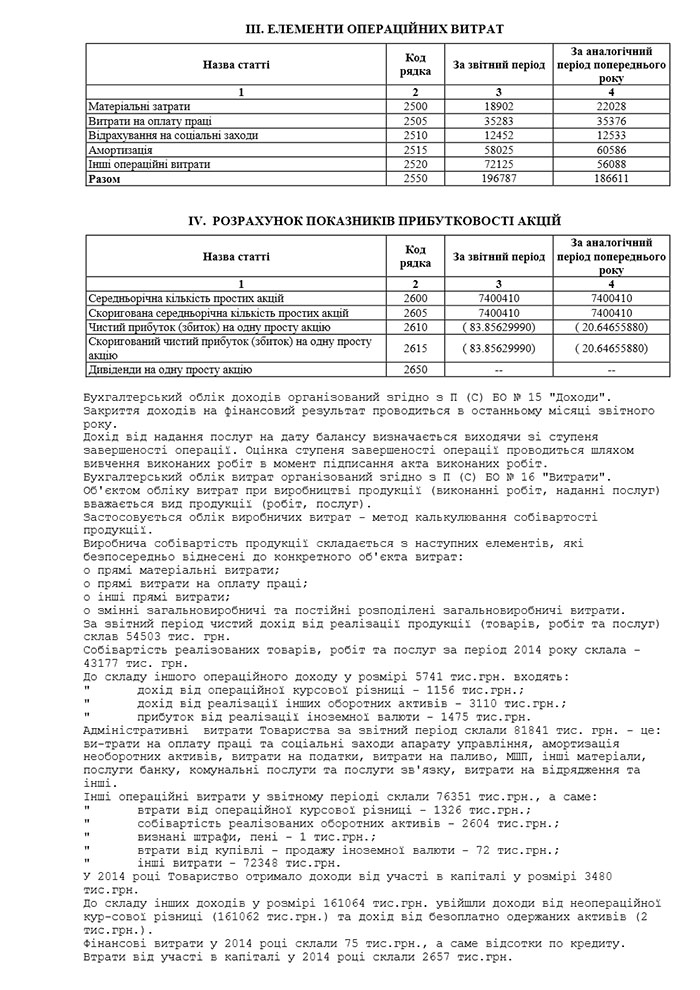 Річна фінансова звітність